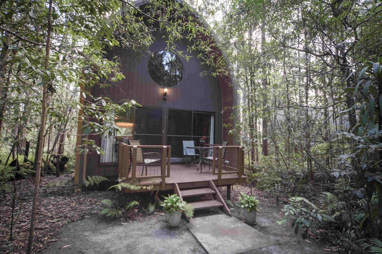 Springbrook Mountain Chalets Quarto foto
